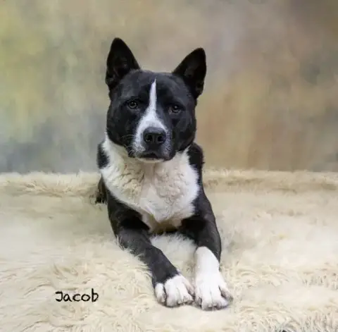 Jacob
