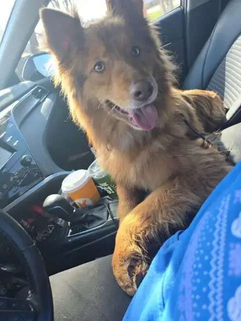 Bailey Love