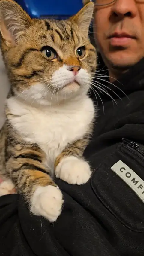 Ernie