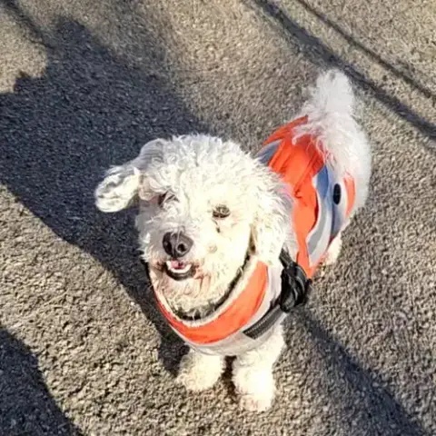 Max