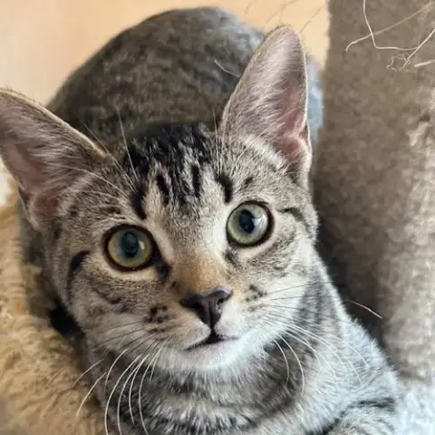 Yubaba photo 3