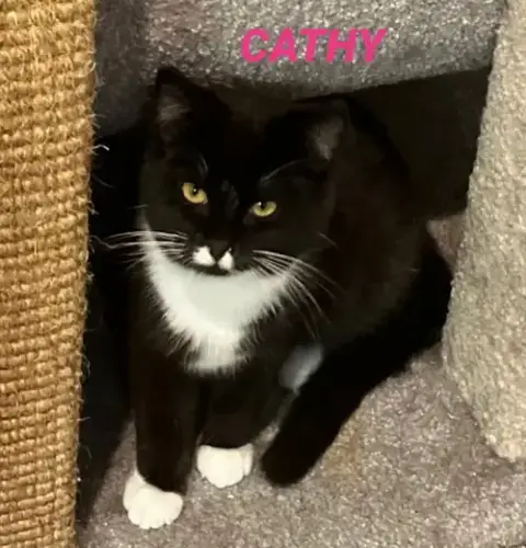 Cathy photo 2