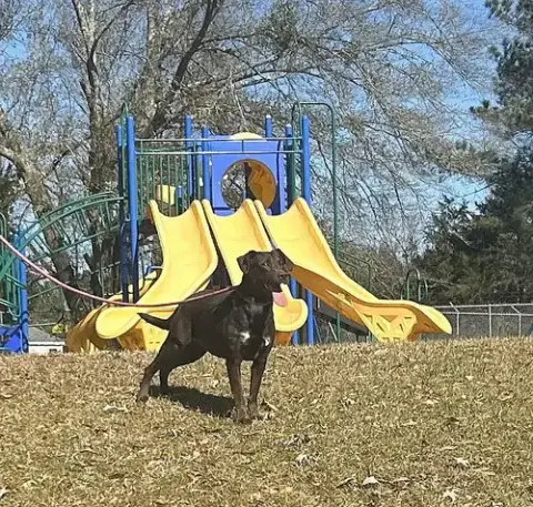Lilah photo 5