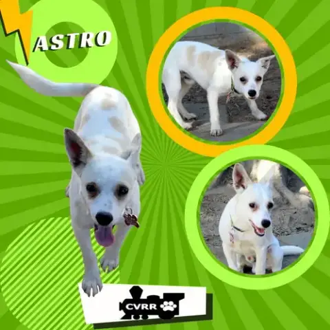 Astro