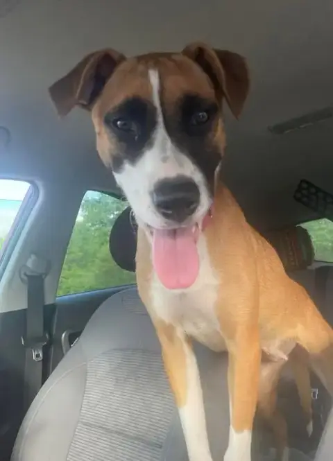 Daisy Mae