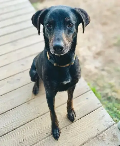 Riley