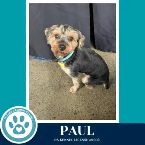 Paul 041126 photo 3