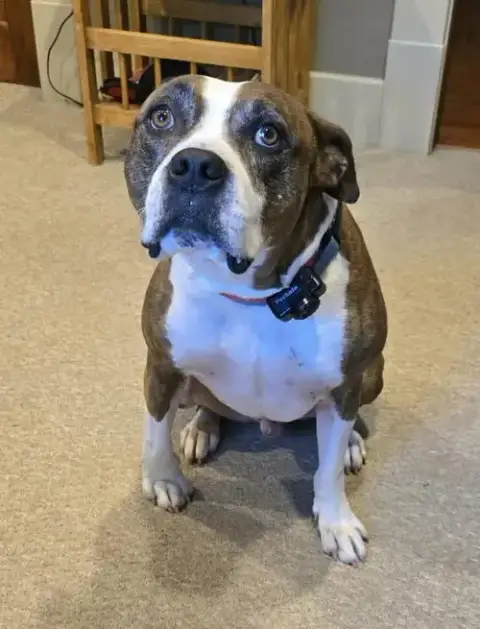 Mugsy photo 5