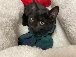 Zora photo 2