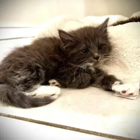 O'Malley photo 2