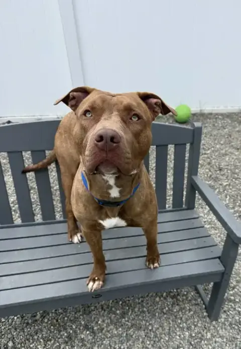 Scooby Nj photo 2