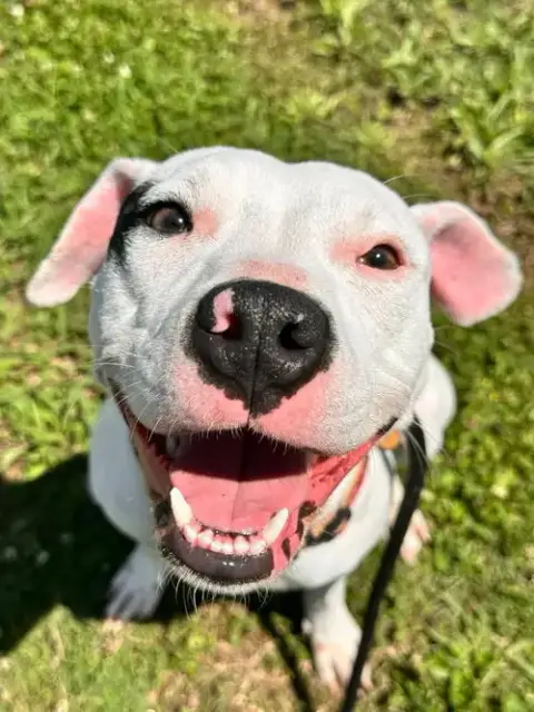Zoey