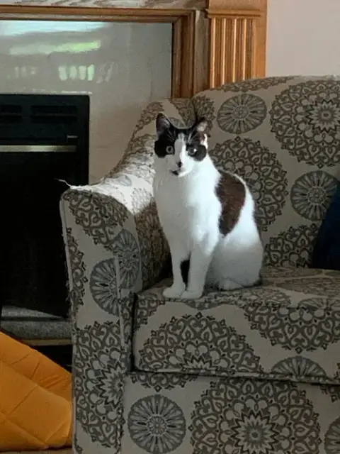 Cindy photo 2