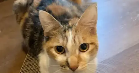 Sabrina