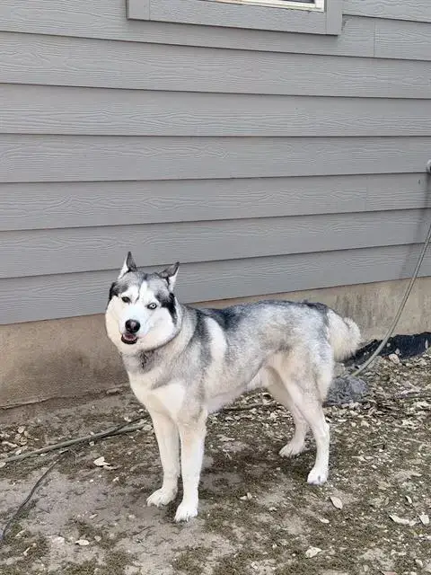 Max