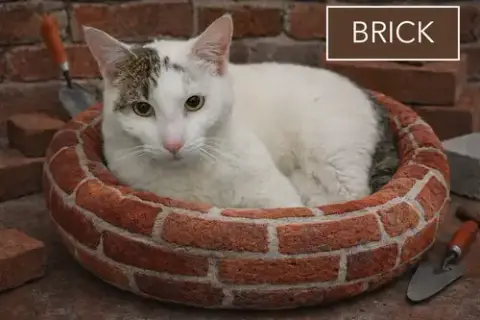 Brick photo 2