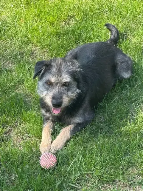 Susie photo 3