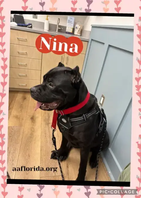 Nina