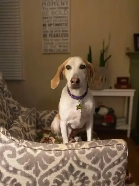 Kacey photo 3