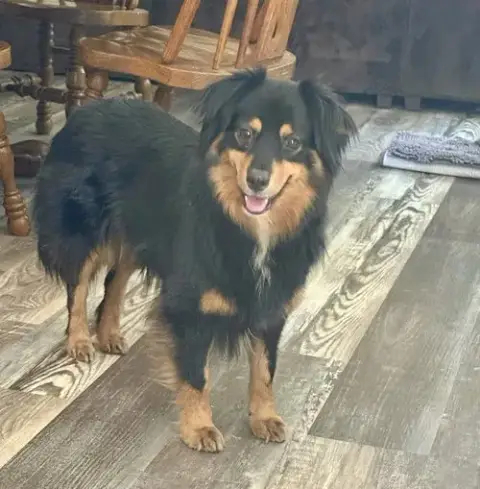 Isabel