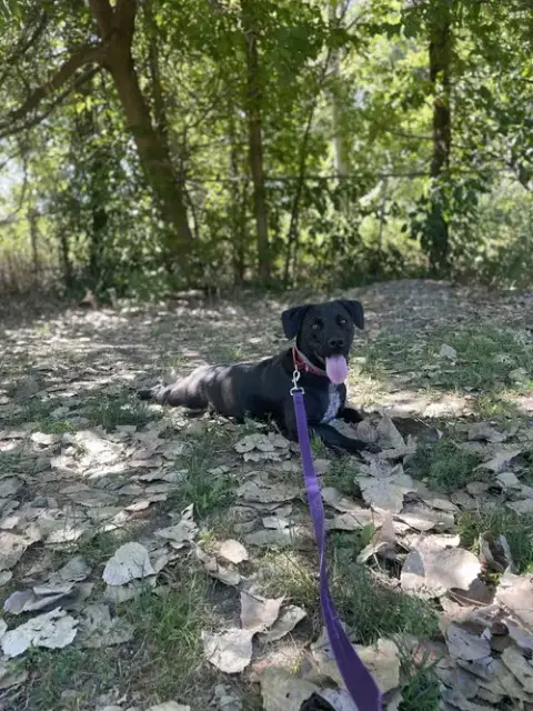 Tucker photo 4