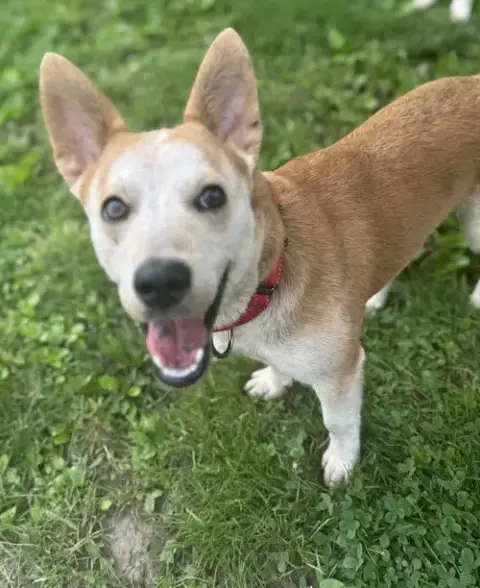 Charlie *I’M Always Smiling*