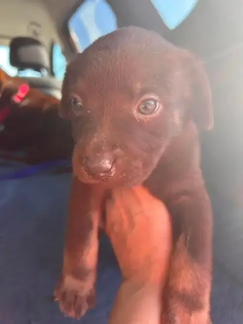 Matilda photo 2