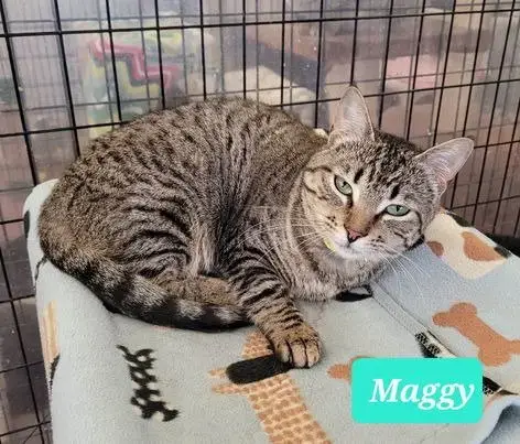 Maggy-Sponsored photo 4