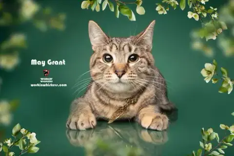 May Grant