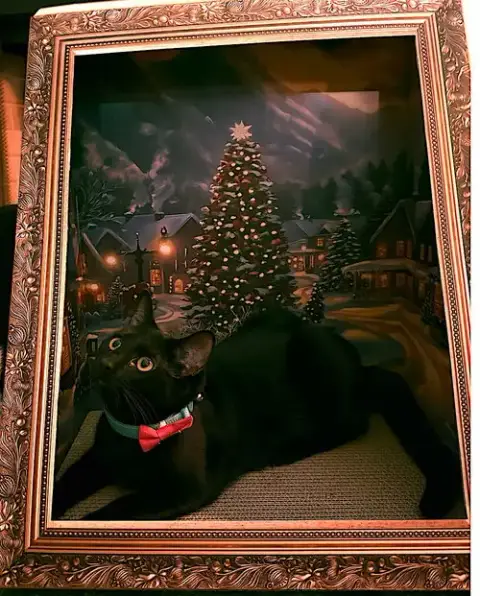 Purretha Franklin