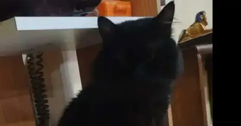 Luca