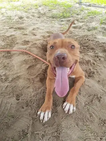 Rusty