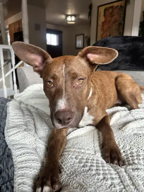 Zoey