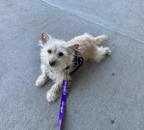 Teddy F/K/A Trooper photo 3