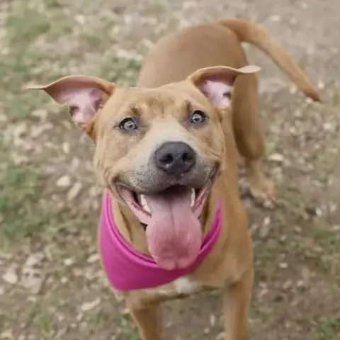 Maggie