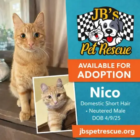 Nico