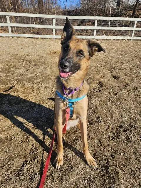 Sadie