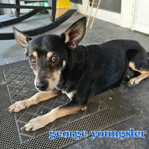 George Youngster photo 4