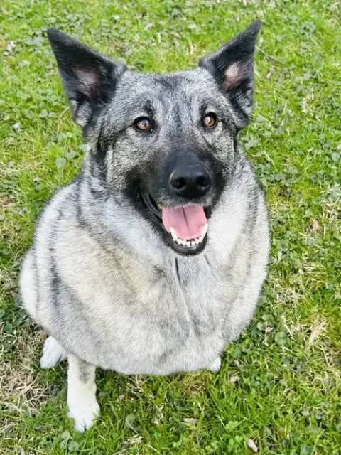 Bryn