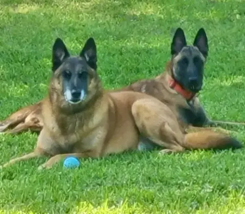 Luci photo 3