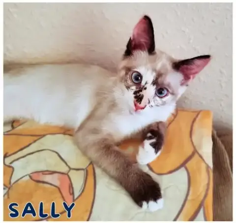 Sally photo 2