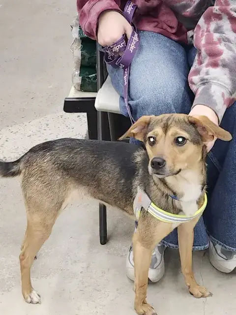 Penny