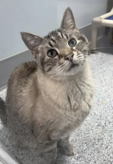Linus photo 2