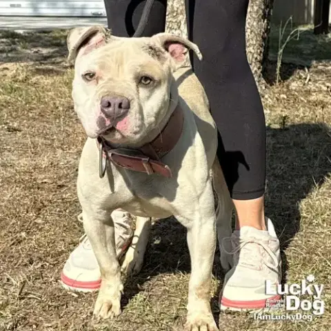 Ms. Peaches