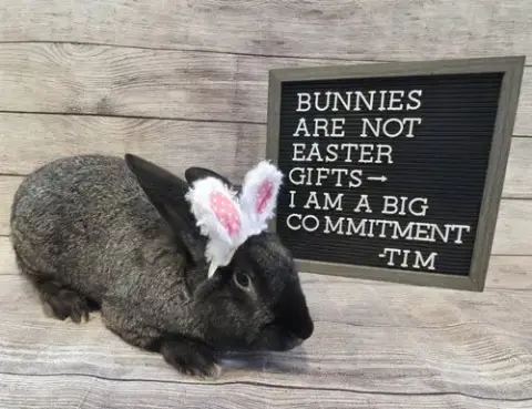Tim photo 2