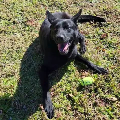 Ranger photo 2