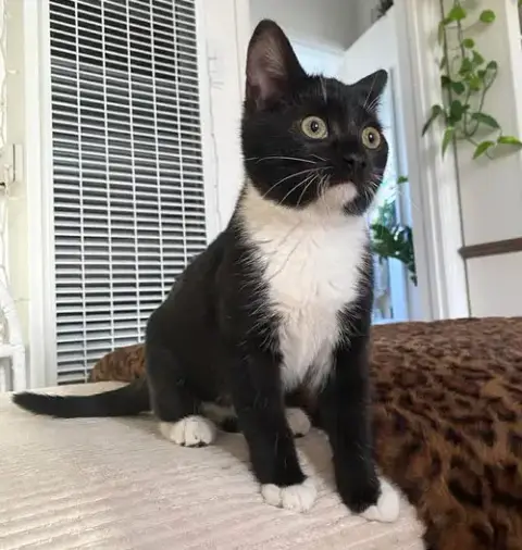Bella photo 2
