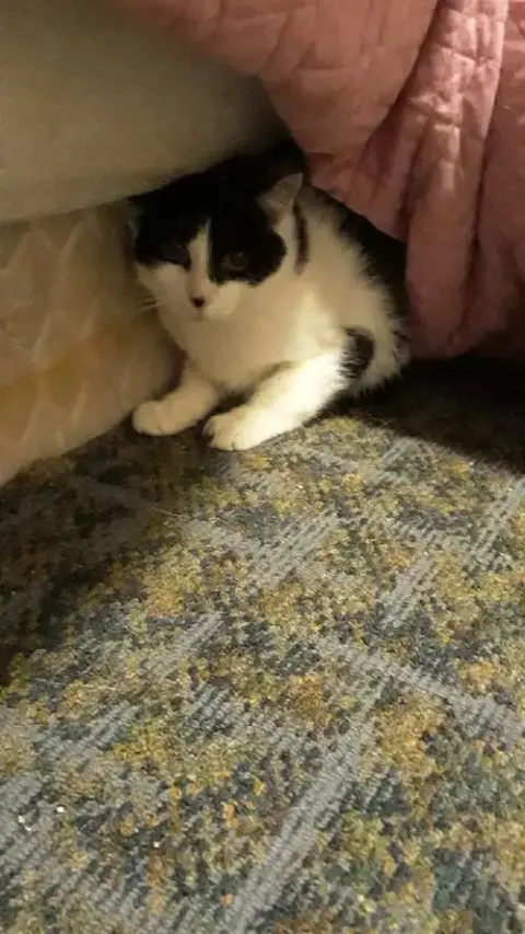 Patchy Bonded With Rosie