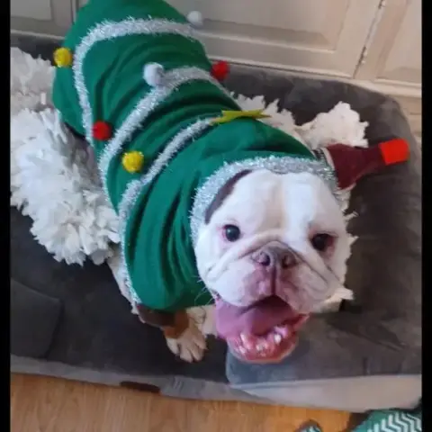Izzy photo 2