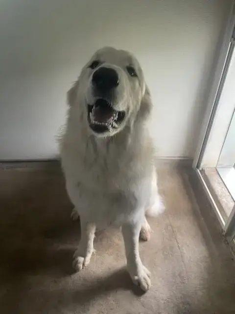 Lefty photo 2